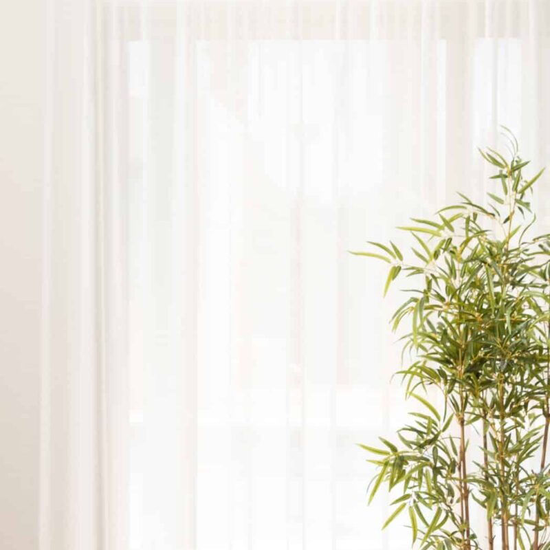 וילון גוטייה – שמנת