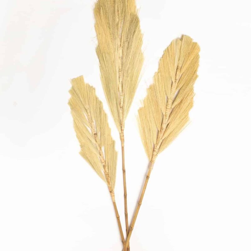 מארז 3 נוצות דגם 7