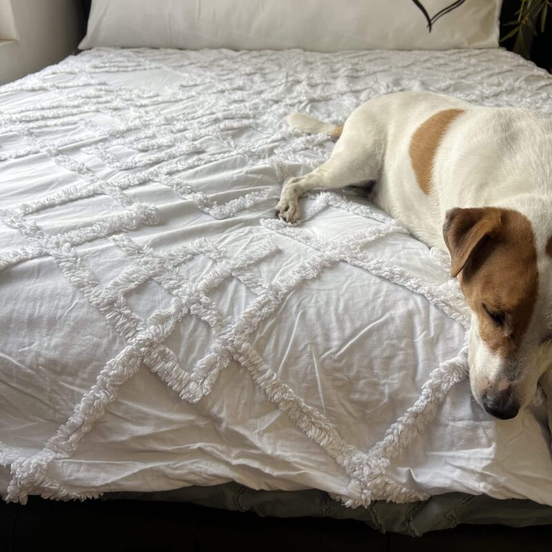 ציפית לכרית ארוכה – דגם מיטל 2